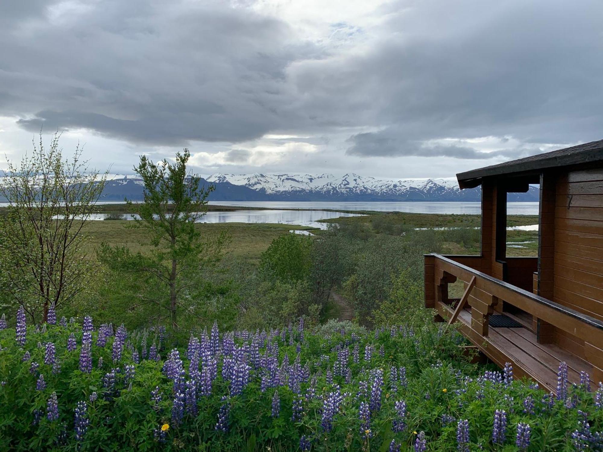 Kaldbaks-Kot Cottages Húsavík Екстериор снимка