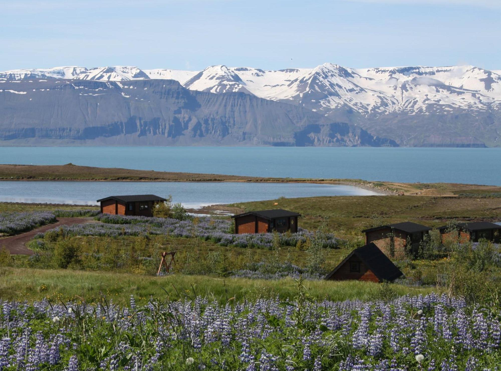 Kaldbaks-Kot Cottages Húsavík Екстериор снимка